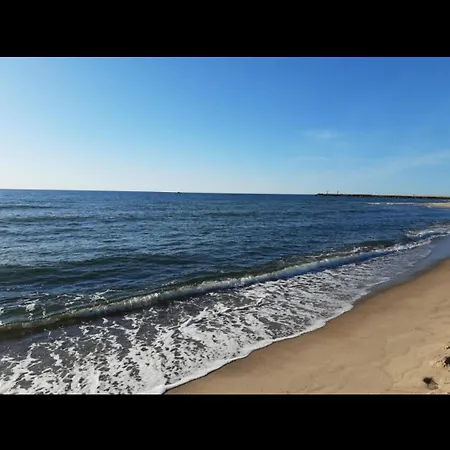 Zefir Lesnica Dąbki